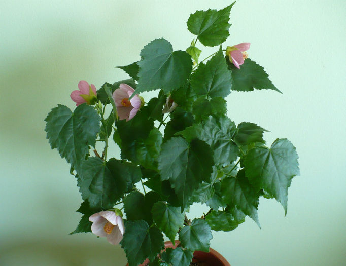 P1430217