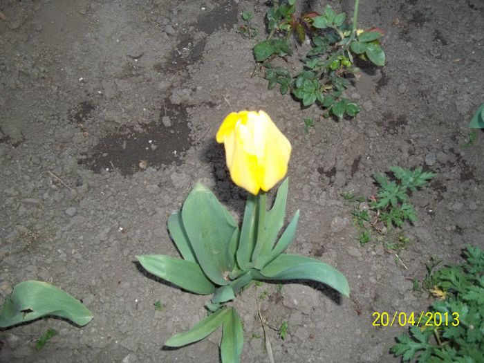 100_0573