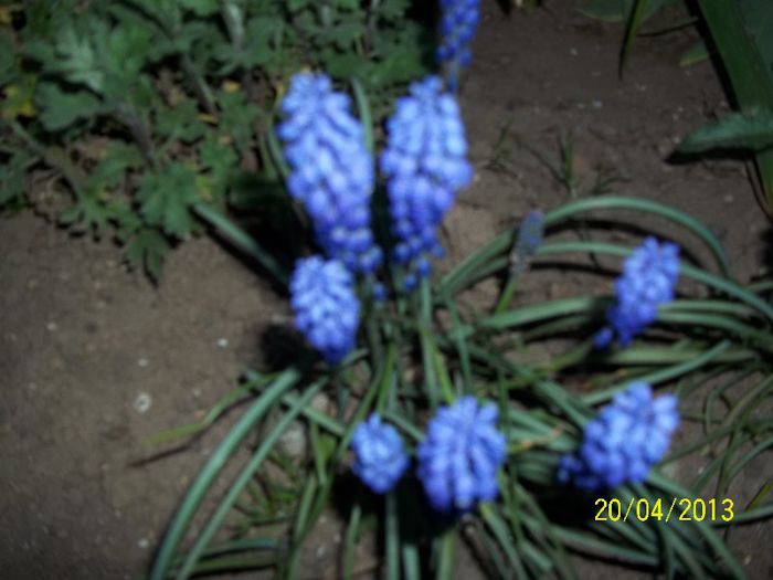 100_0604