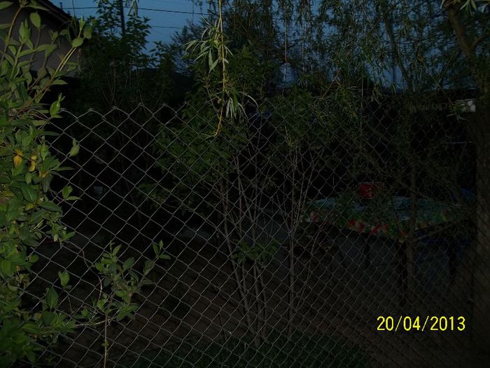 100_0630