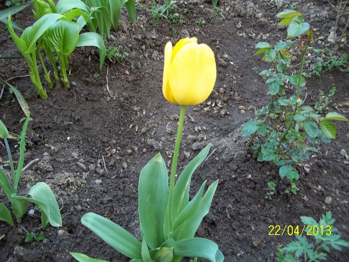 100_0651