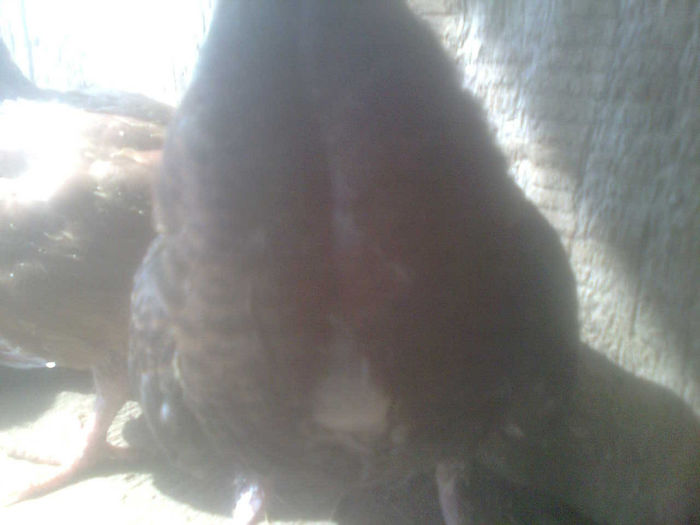 Image0513