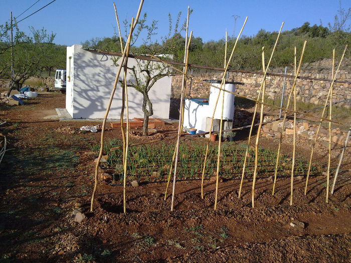 25.03-se vad roadele munci; depozite de apa,gradina,casa,s-au plantat alti pomi fructiferi
