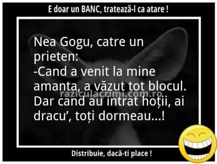 542454_284853084974913_975959023_n - xo_Doza de ras_xo