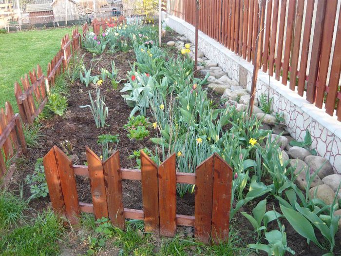 Picture 1766 - curtea primavara