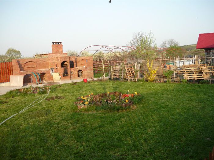 Picture 1767 - curtea primavara