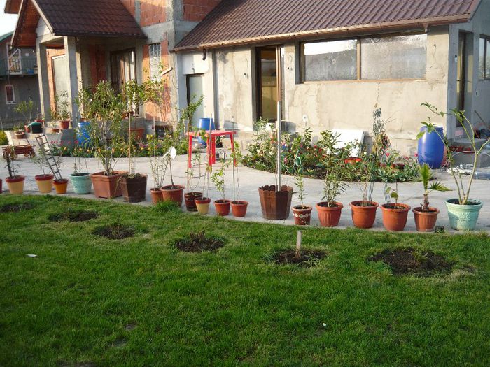 Picture 1768 - curtea primavara