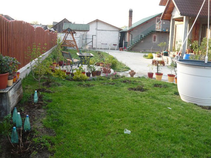 Picture 1769 - curtea primavara