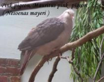 EOCDFRJQVUAFTJSOLXA