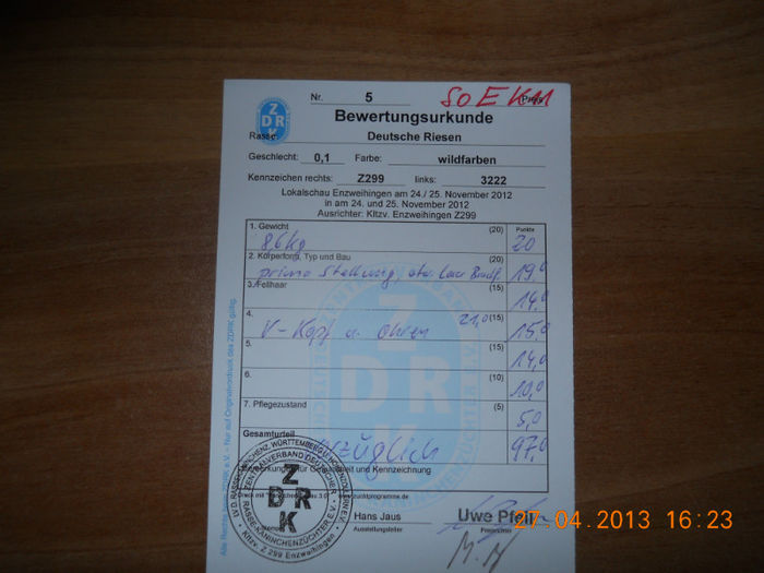 Z299 2322 (F8); 97 pct Christa Jaus
