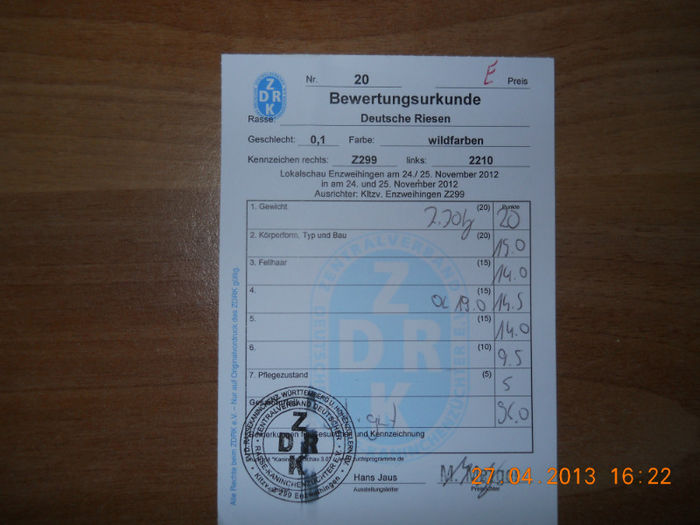 Z299 2210 (F9); 96pct Christa Jaus
