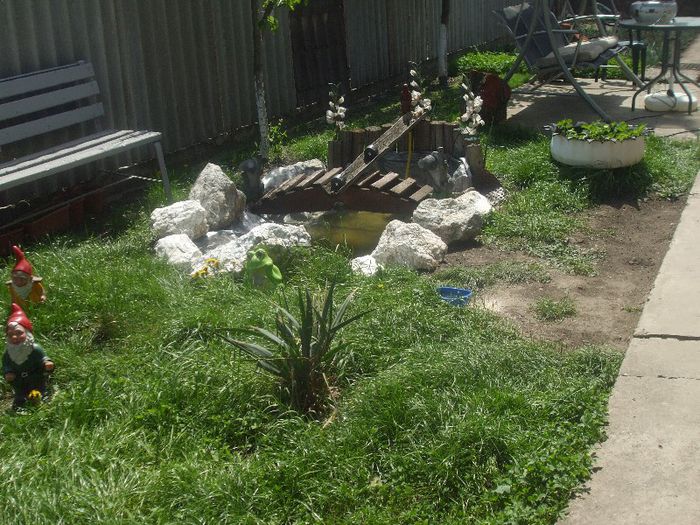 DSCF6277 - gradina mea