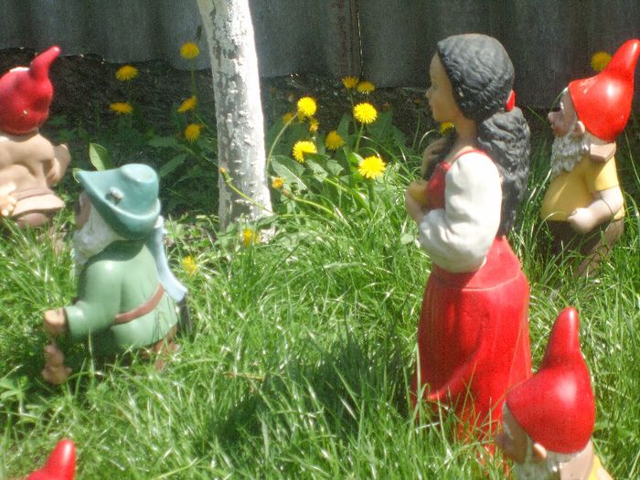 DSCF6281 - gradina mea