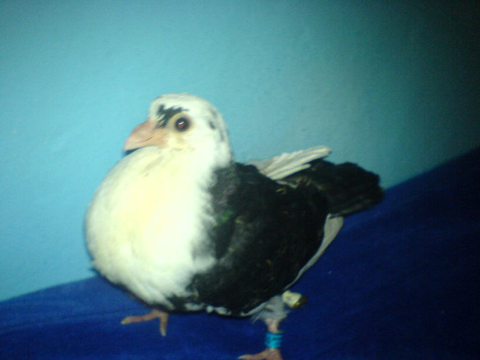 DSC00524