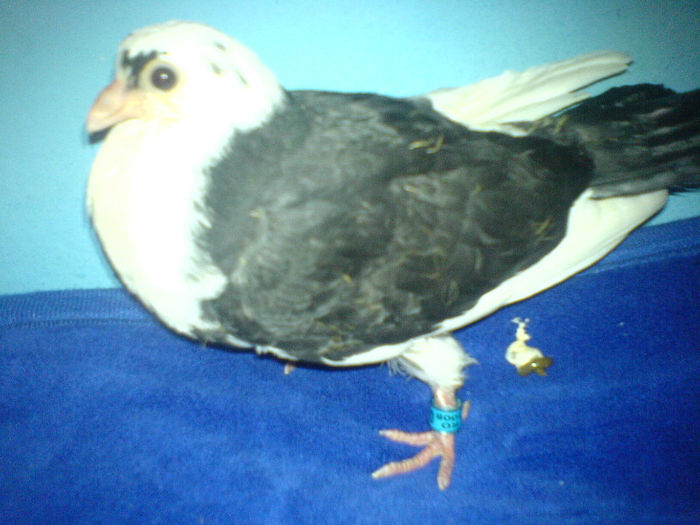 DSC00525