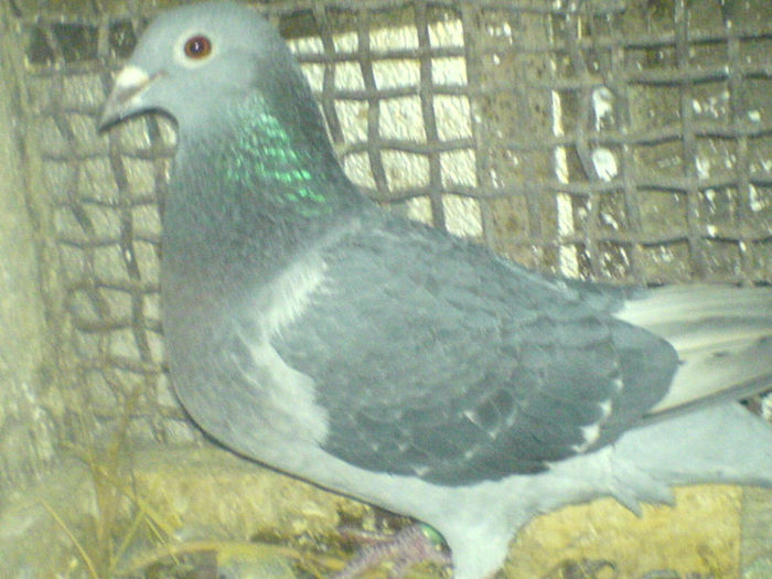 DSC00566