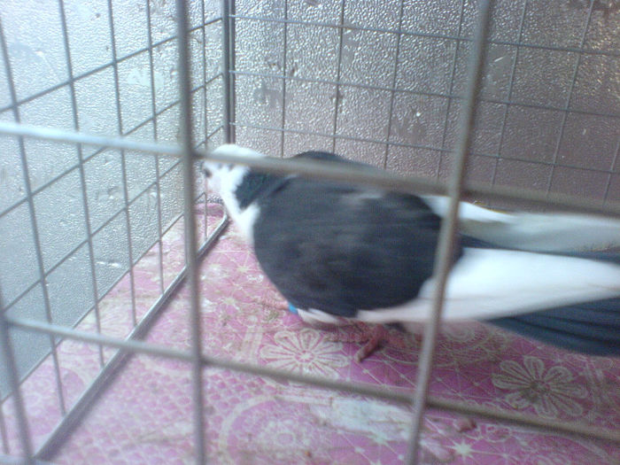 DSC00568