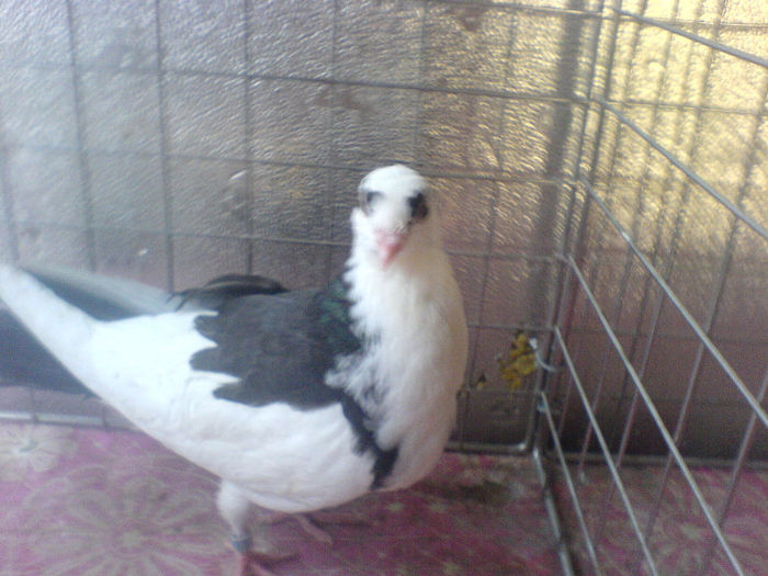 DSC00570