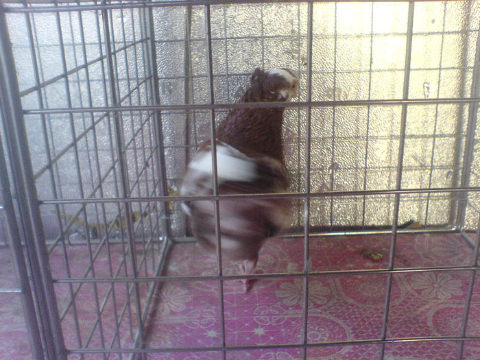 DSC00574