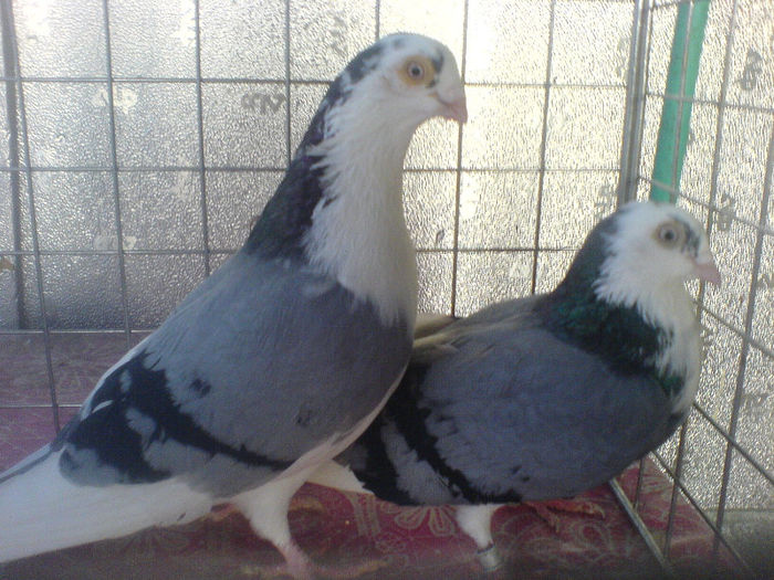 DSC00577