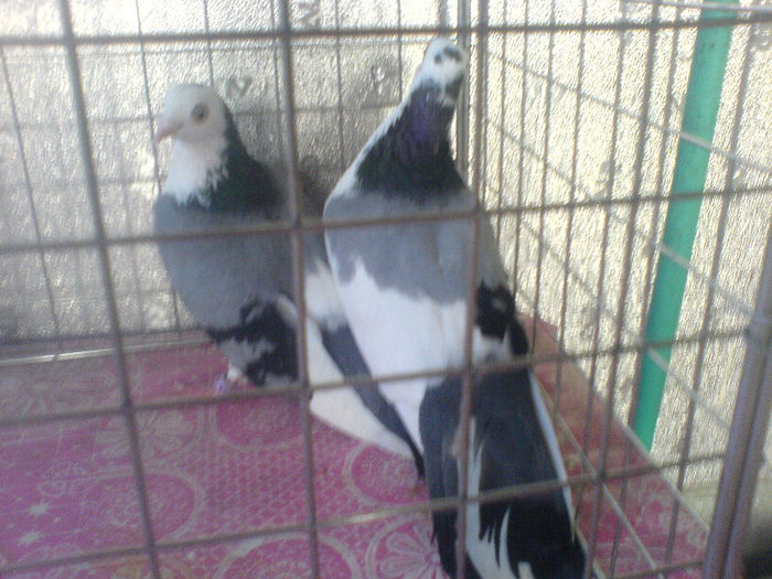 DSC00583