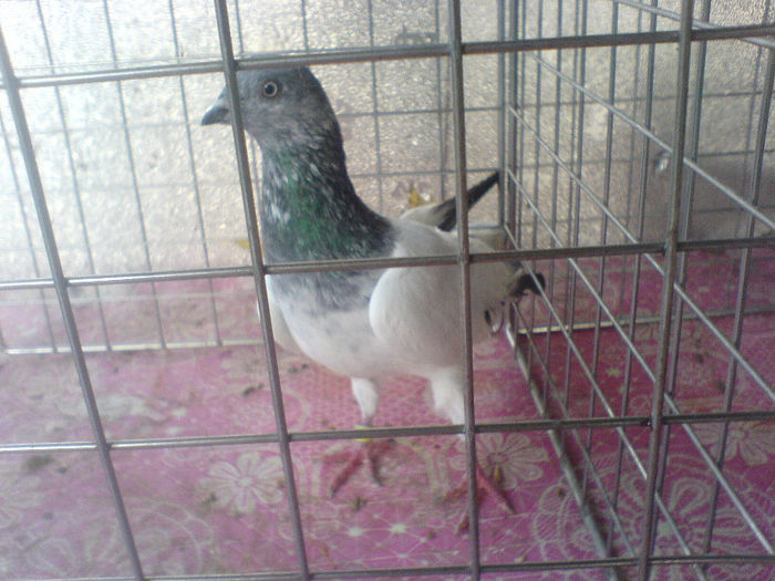 DSC00607