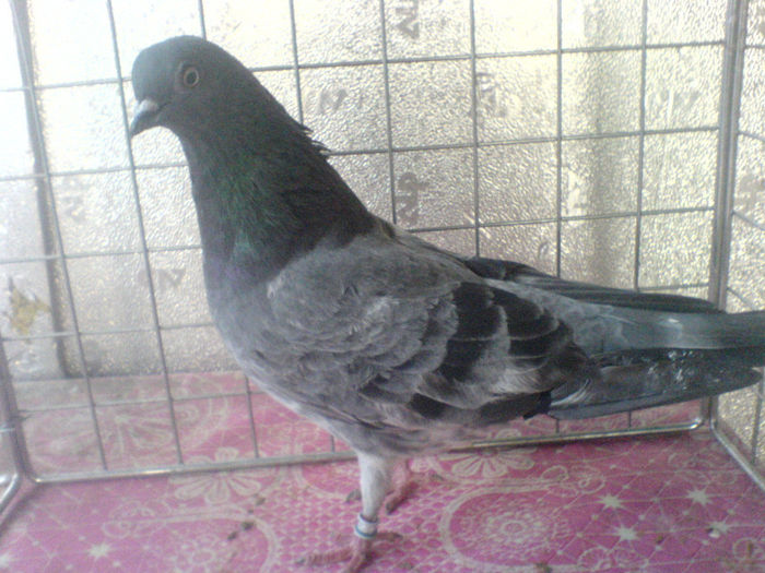 DSC00610