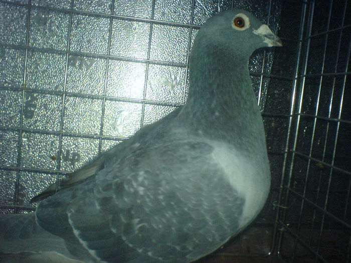 DSC00643