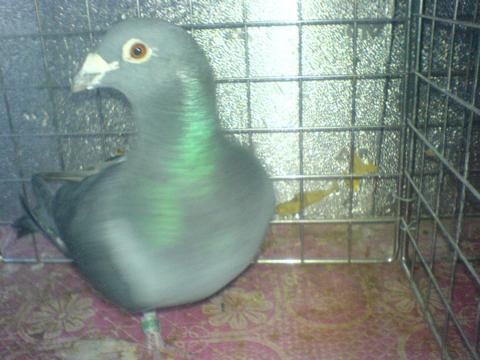 DSC00644