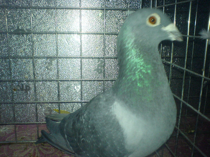 DSC00646
