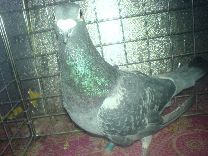 DSC00647