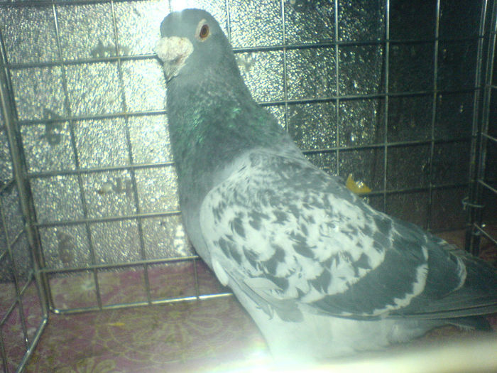 DSC00653