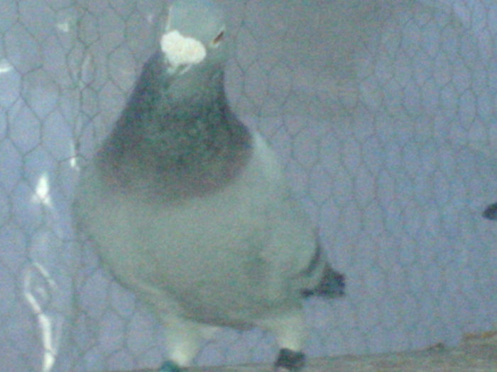 DSC00656