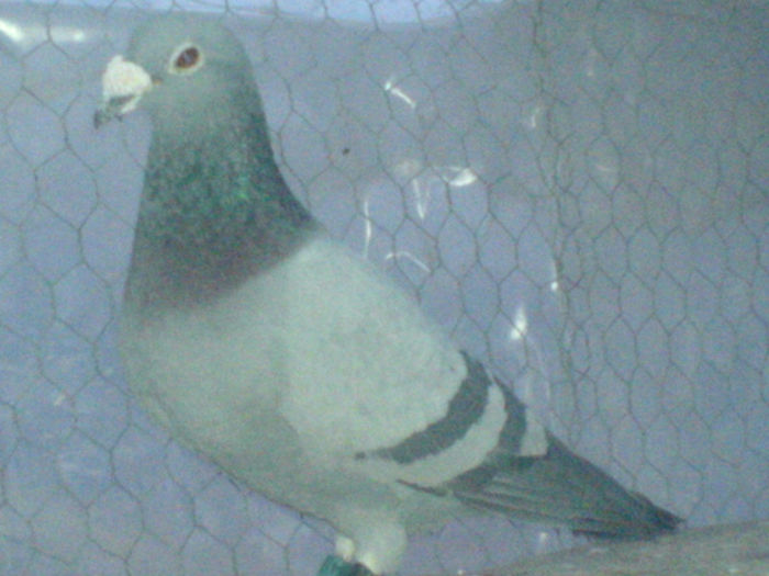 DSC00657