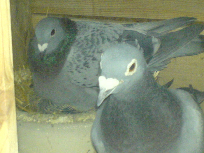 DSC00659