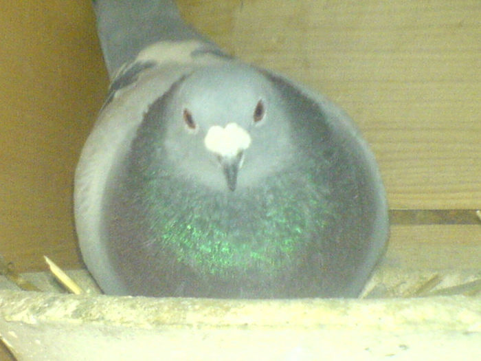 DSC00663
