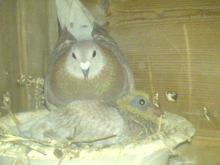 DSC00666