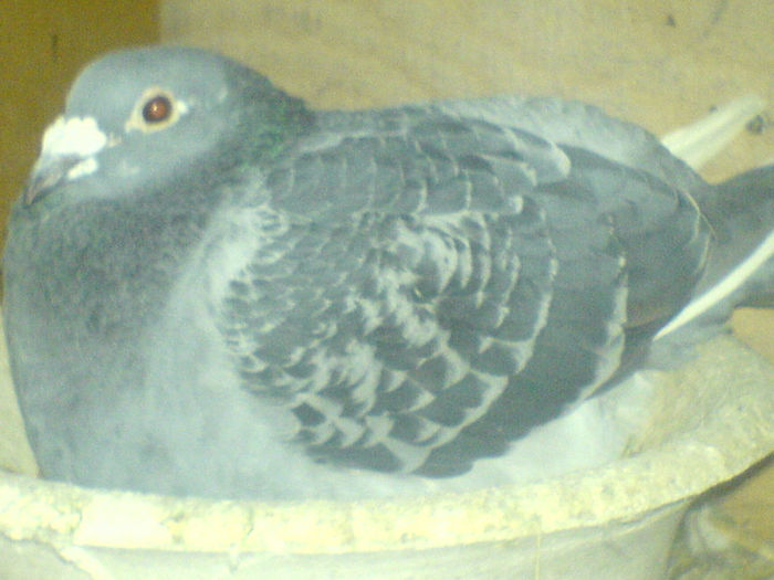 DSC00669