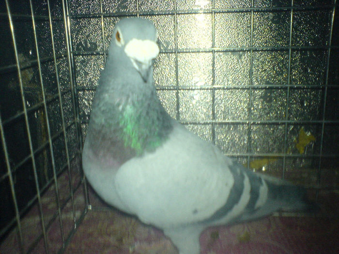 DSC00679