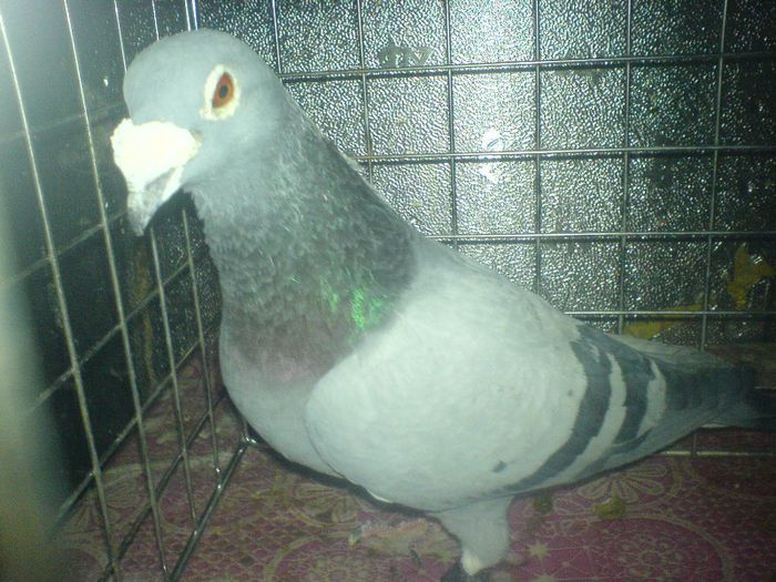 DSC00680