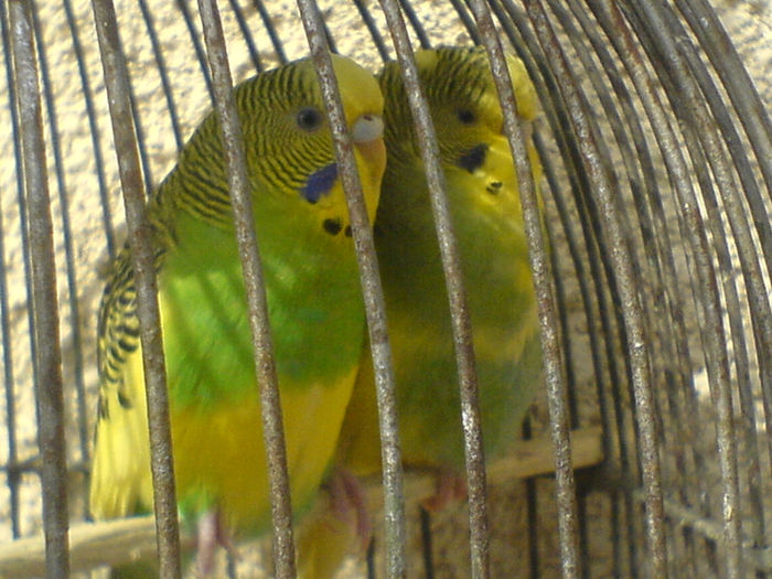 DSC00691