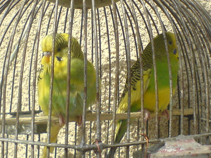 DSC00692