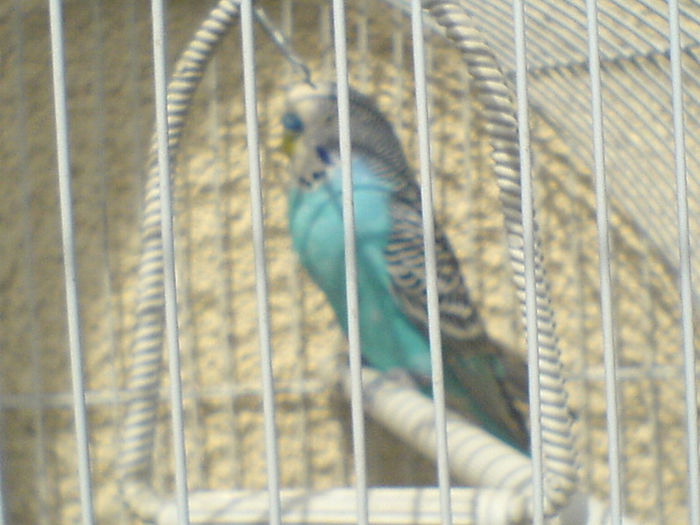 DSC00693