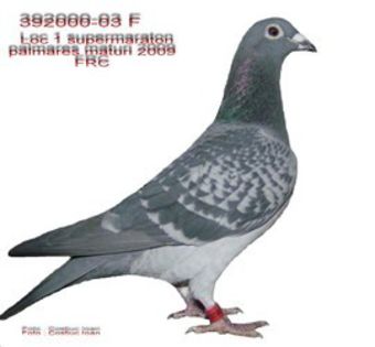 5934280