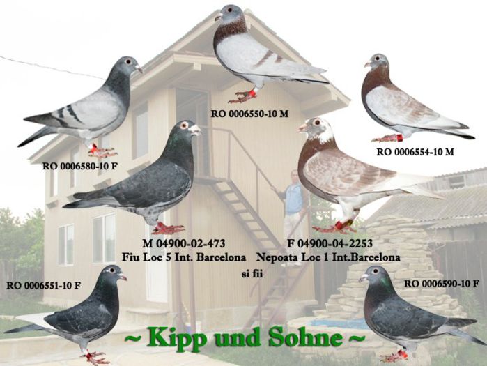 kipp_und_sohne_izuric_catalin