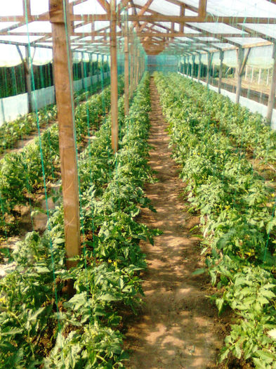 27.04.3013 antalya - solarii dichiseni 2013