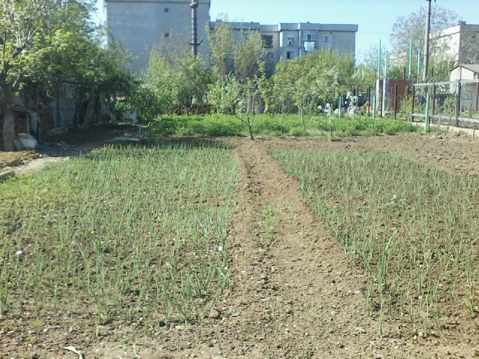 P25-04-13_10.32 - 02 Gradina