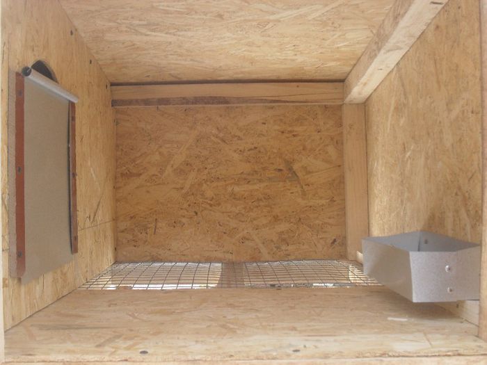 Boxa pt femela gestanta...