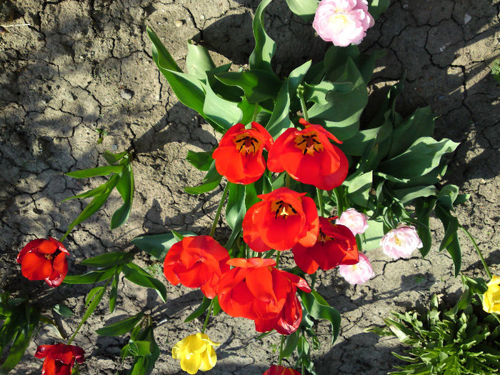 017 - Aprilie 2013