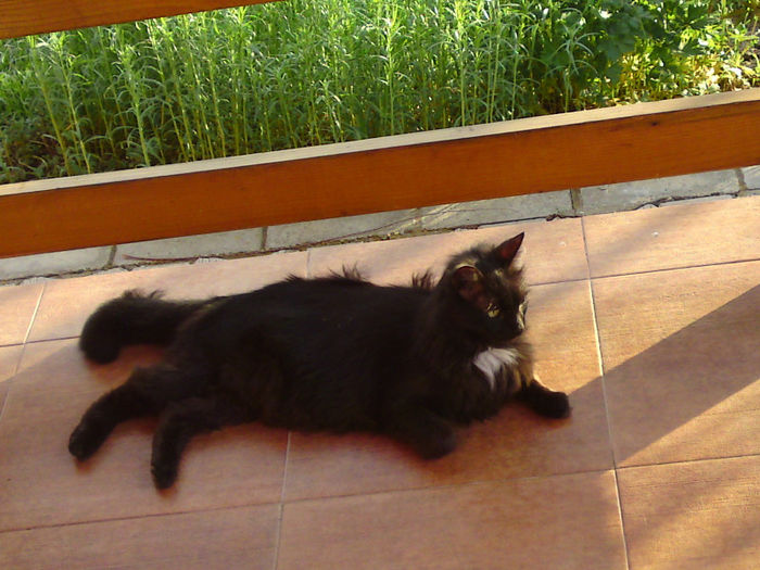 027 - Aprilie 2013